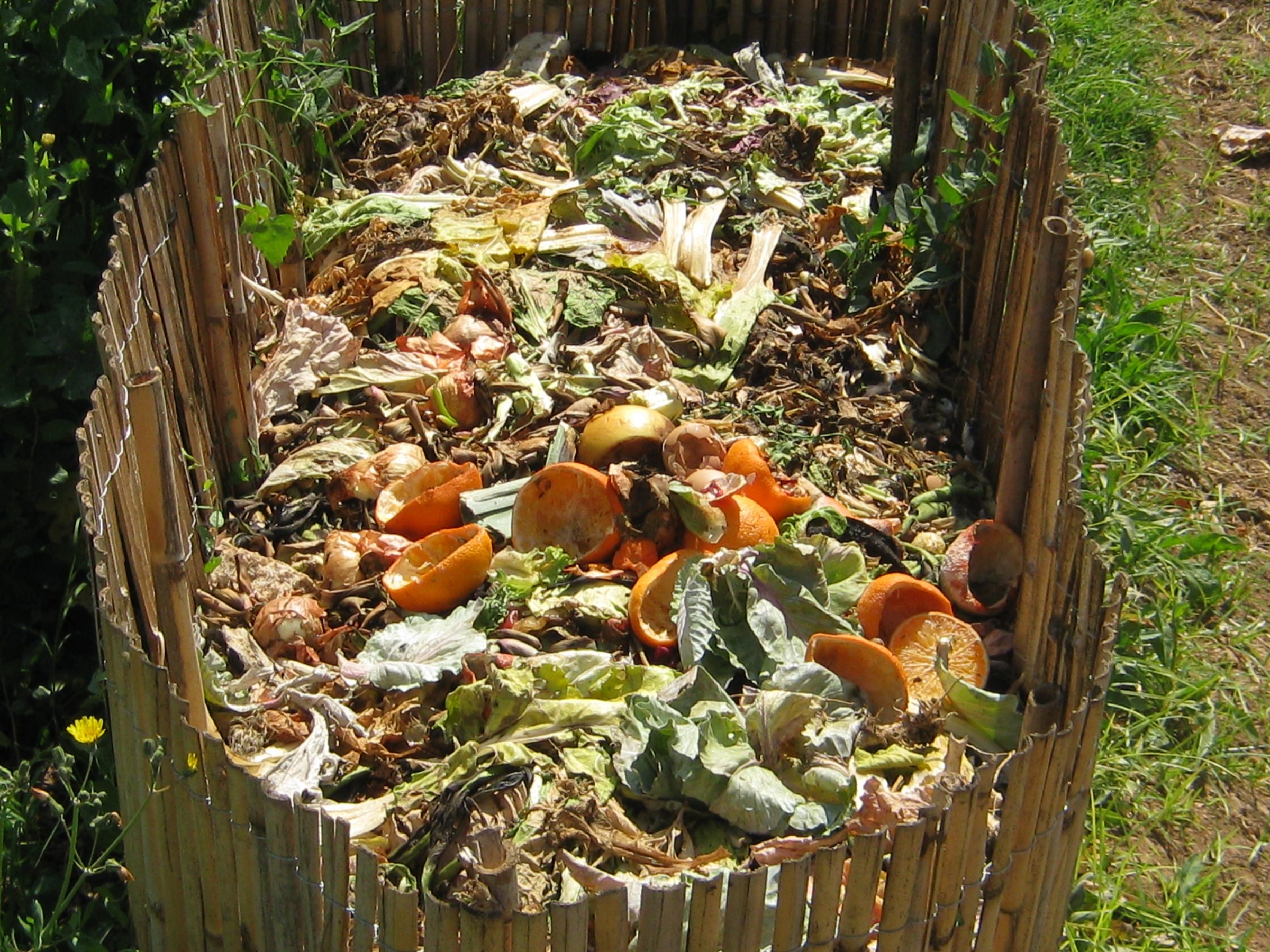 Le compost : quelques explications