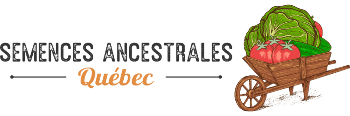 Design sans titre (3)